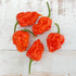 Fresh Carolina Reaper (5 fruits)