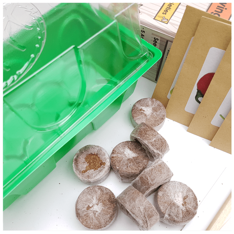 Chilli Growing Kit - 4 Variety Chilli Selection