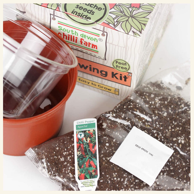 Chilli Growing Kit 'All-In-One'