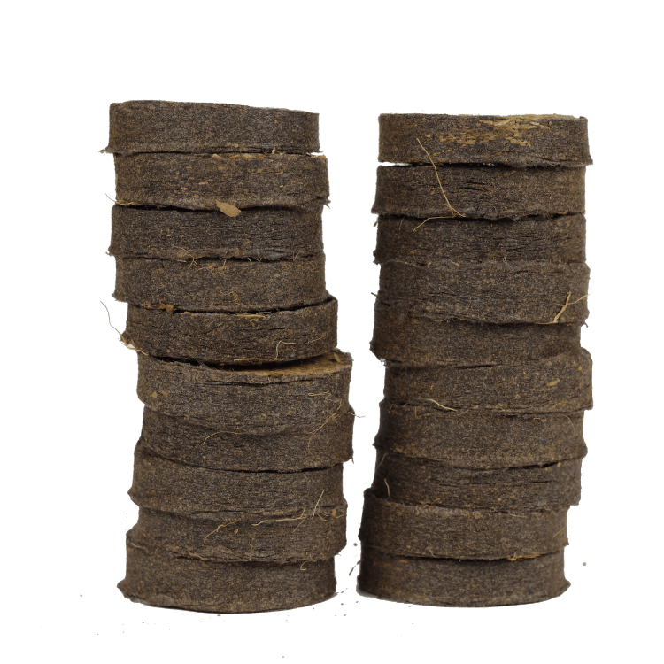 20 Coir Compost Plugs (peat-free)