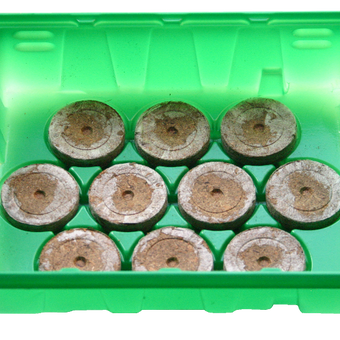 20 Coir Compost Plugs (peat-free)