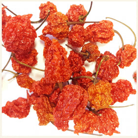 Dried Carolina Reaper Chillies (Home Grown)