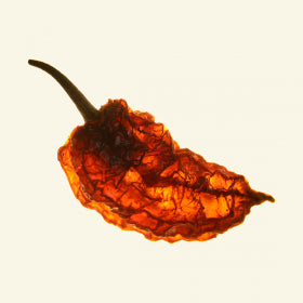 Dried Bhut Jolokia Chillies (Home Grown)