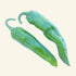 Guajillo 1 Litre Pot Plant - Pre-Order Now!