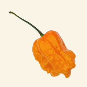 Peach Carolina Reaper Chilli Seeds