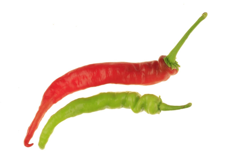 Pepperoncini 1 Litre Pot Plant (Pre-Order)