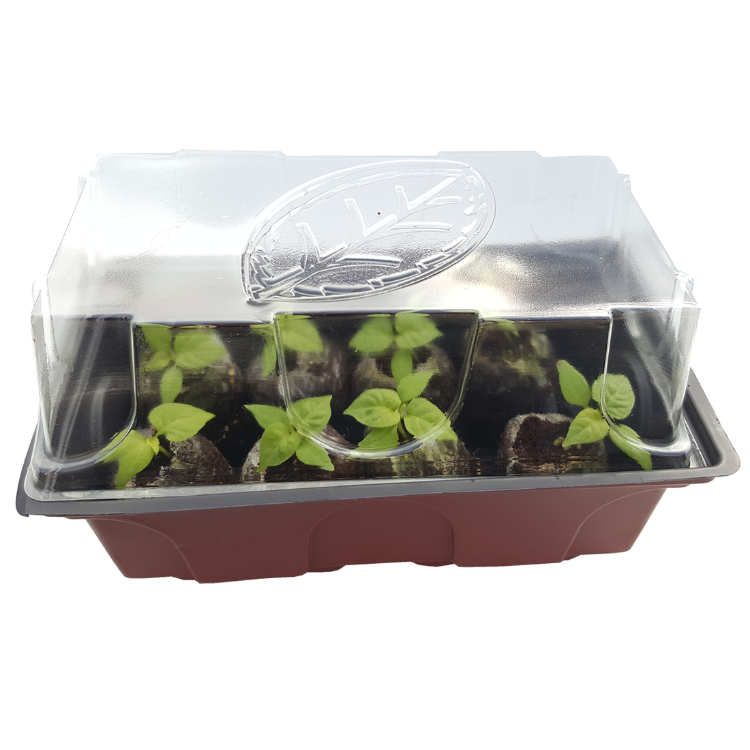 Propagator – South Devon Chilli Farm
