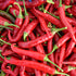 Dried Ring of Fire Chillies (Home Grown)