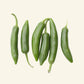 Fresh Serrano Chillies (6 fruits)
