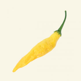 Aji Limon Chilli Seeds