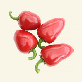 Cherry Bomb Chilli Seeds
