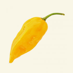Fatalii Chilli Seeds