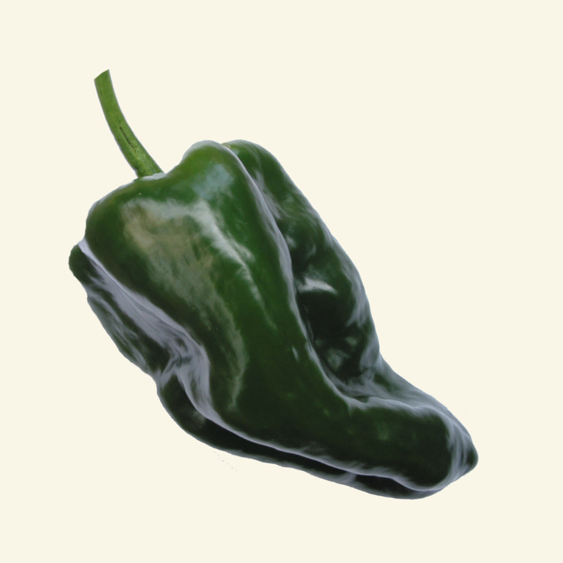 Fresh Poblano Chillies (2 fruits)