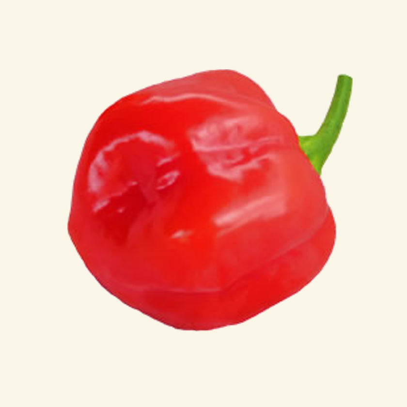 Fresh Red Habanero (5 fruits)
